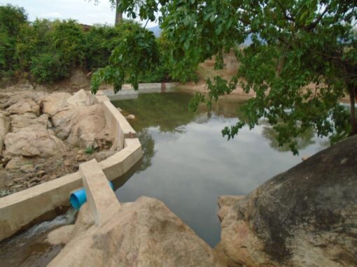 Prospectiva contribui para irrigação em pequena escala no Malawi