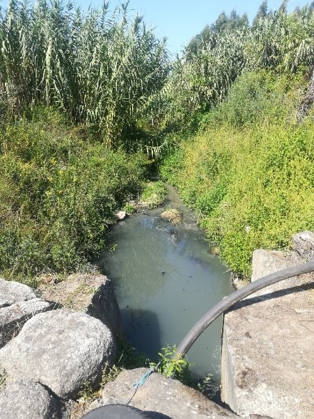 Projeto de Requalificação de linhas de água, Moreira – Maia