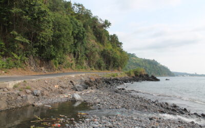 Estudos de viabilidade, de engenharia e de impacto ambiental e Social da Estrada Nacional EN1, São Tomé, Guadalupe, Neves