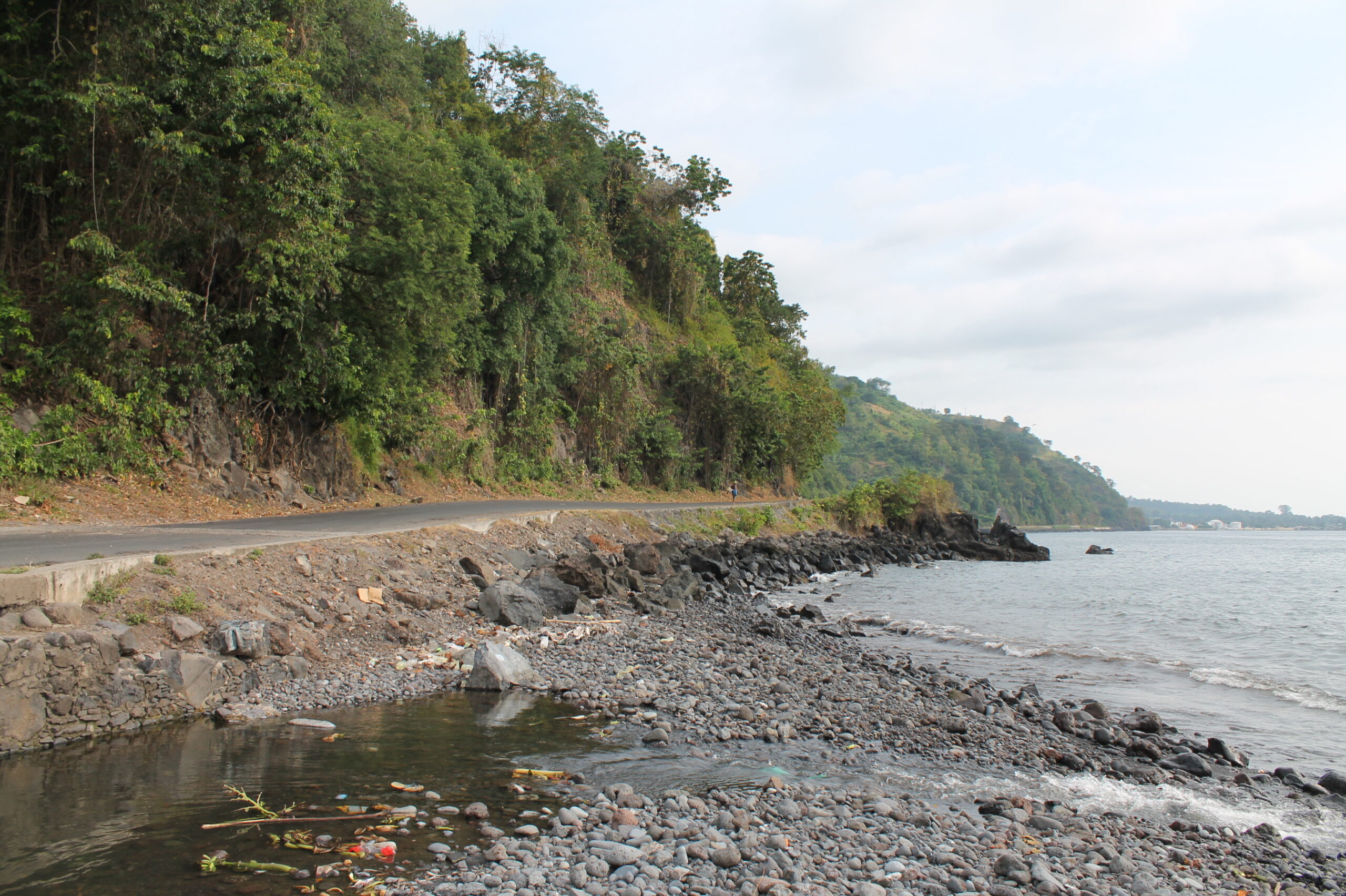Estudos de viabilidade, de engenharia e de impacto ambiental e Social da Estrada Nacional EN1, São Tomé, Guadalupe, Neves