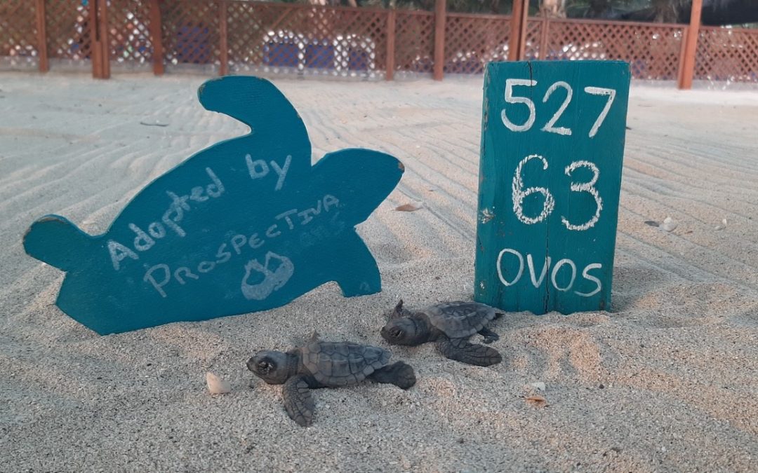 PROSPECTIVA presente em Cabo Verde com novos projetos